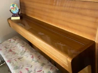 Old upright with standard size. its not valuable piano