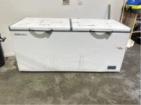 Commercial double door fridge and a large chest freezer
