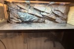 Aquarium, Aquarium cabinet