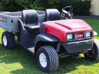 Toro Buggy / Side by side