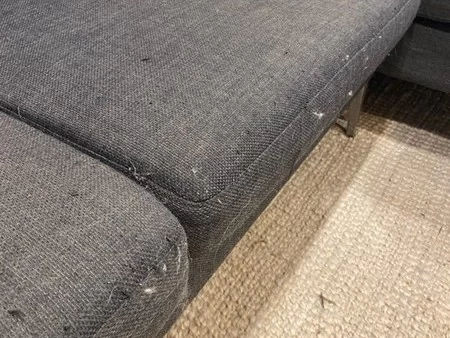 Freedom furniture couch