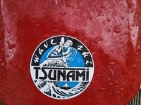 Tsunami Waveski 240