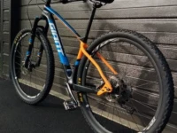 Adult bike