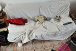 3 bedroom house move