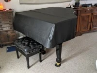Wendl and Lung piano