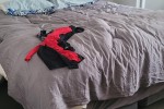 4+ bedroom house move