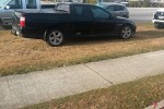 Holden Crewmann