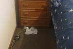 2 bedroom apartment move