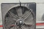 Fan (4)