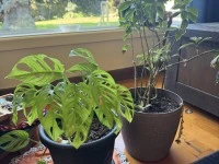 1 bedroom apartment move