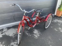 Adult tricycle