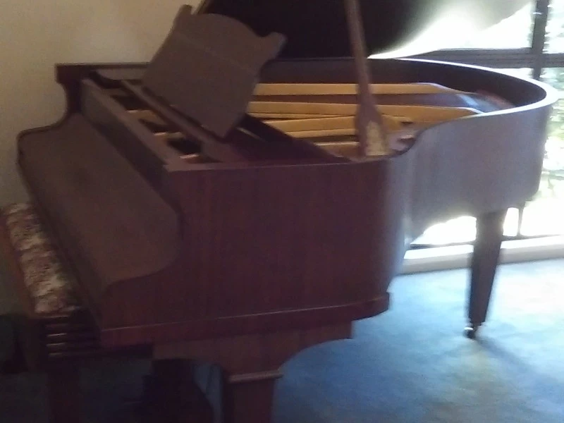 Walter Gulbranson piano