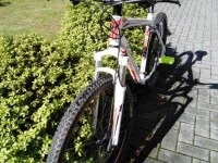 Mountain bike