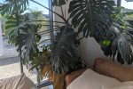 4+ bedroom house move