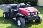 Toro Buggy / Side by side