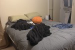 3 bedroom house move