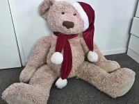 Teddy