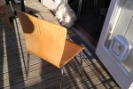Mid Century Dining Chairs