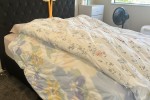 2 bedroom house move
