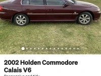 Golden commodore