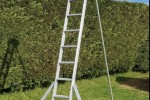 Ladder