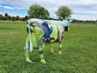 Cows in the Park - Anne McDonald