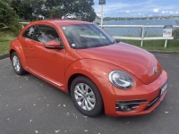 Vw Beetle
