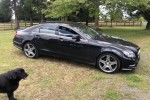 Mercedes Benz Cls350