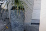 4 x plants.
