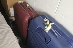 Luggage 1 - contains clothes, luggage 2 - contains clothes, luggage 3 ...