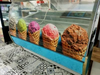 Ice Cream Scoop Freezer