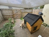 2 bedroom house move