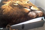 1 bedroom house move
