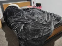 2 bedroom house move