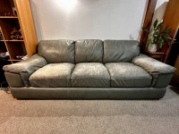 4+ bedroom house move