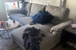 Queen bed, Couch comes apart