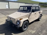 VW Thing