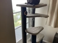 Cat Tree