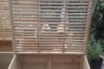 Trellis Planter box