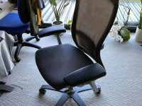 55" TV, Desk Chair