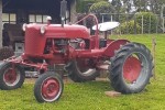 Famall c very small vintage tractor Famall c very small vintage tractor