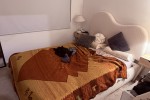 2 bedroom apartment move
