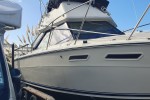 Motor boat Sea Ray