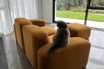 "Muse" 2-Seat Modular Sofa + Ottoman (3)
