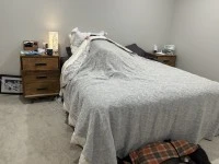 4+ bedroom house move