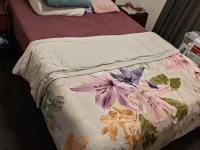 Queen mattress, Bed frame - disassemble, Washing machine, Dryer, Fridg...
