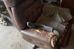 1 bedroom house move