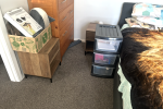 1 bedroom house move