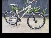 Adult sized bicycle