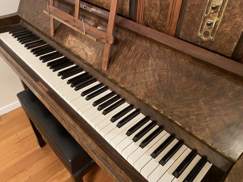 A Taylor and Son, https://www.trademe.co.nz/a/marketplace/music-instru...
